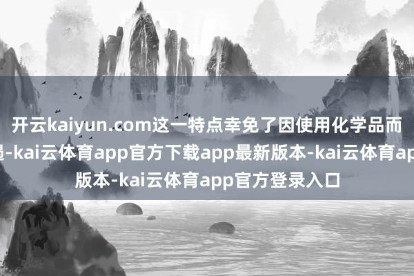 开云kaiyun.com这一特点幸免了因使用化学品而产生的二次抑遏-kai云体育app官方下载app最新版本-kai云体育app官方登录入口